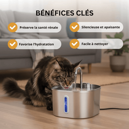 AquaPaws™ – Fontaine à Eau pour chat