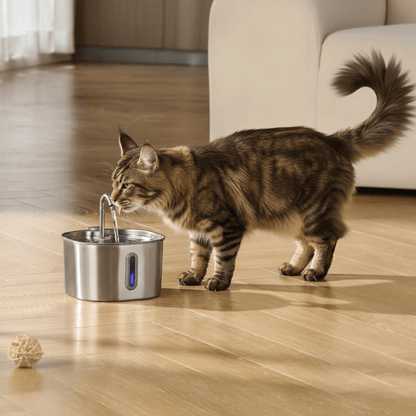 AquaPaws™ – Fontaine à Eau pour chat